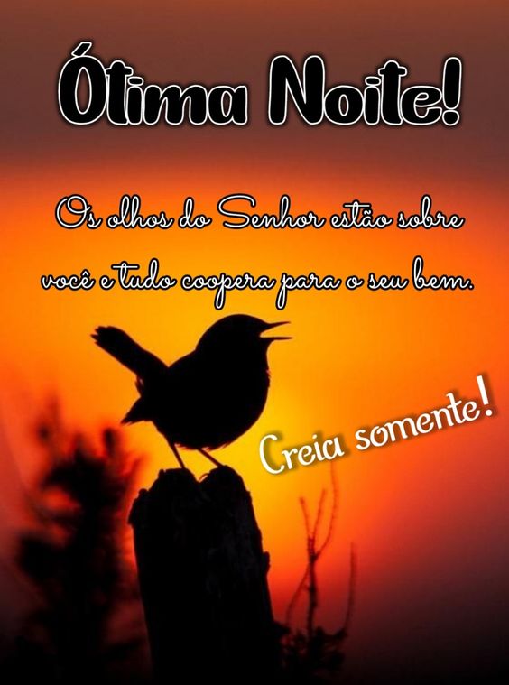otima noite senhor