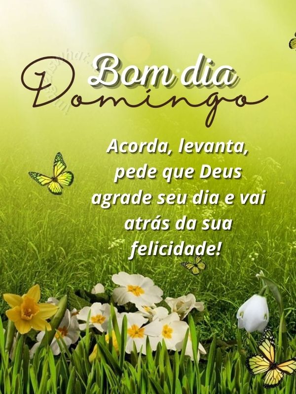 Imagens de Bom dia Domingo