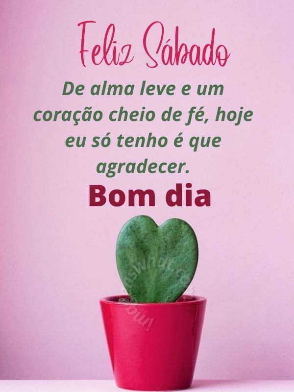 Bom dia Sábado feliz e abençoado