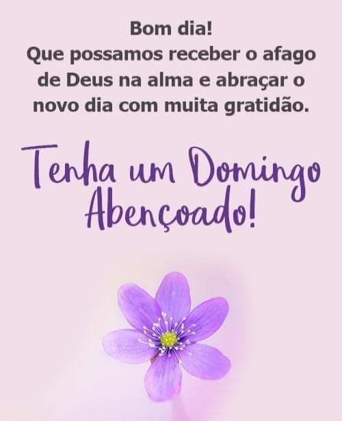 Bom dia domingo especial