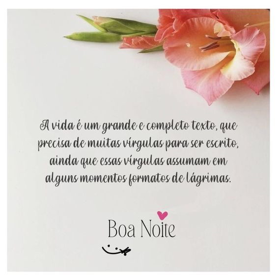 a vida grande boa noite