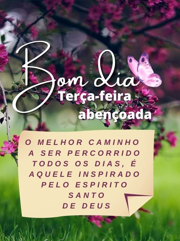 Imagens de Bom dia terça-feira abençoada
