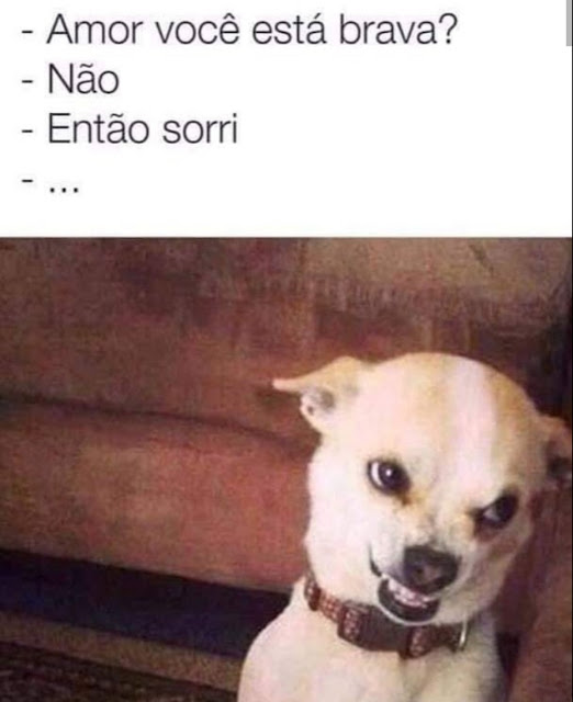 Memes engraçados 2022