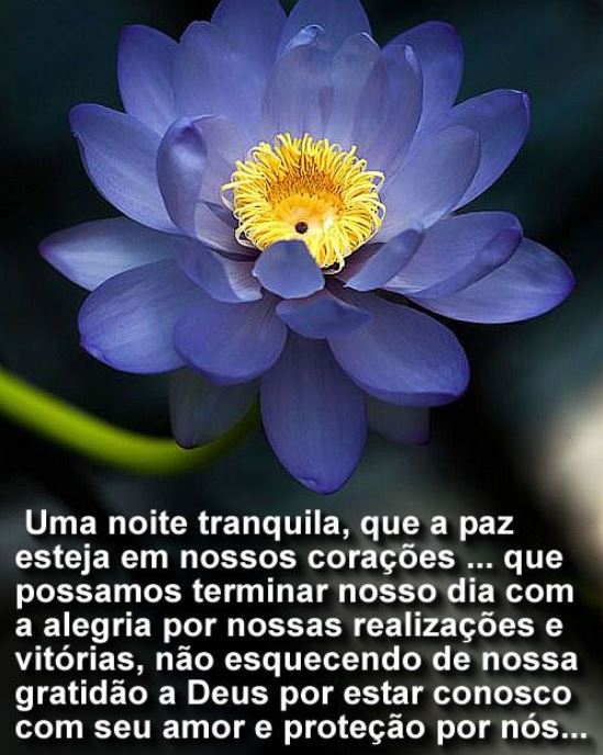 Uma noite tranquila...