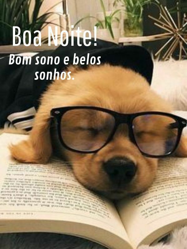 Imagens de boa noite e belos sonhos