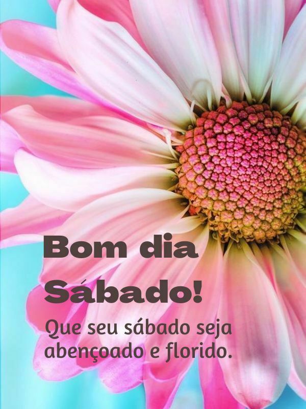 Bom dia Sábado com Flores