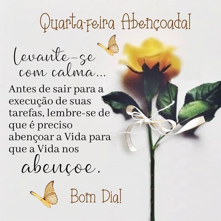 Bom dia quarta-feira com flores