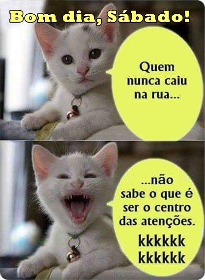 Frases engraçadas de bom dia Sábado