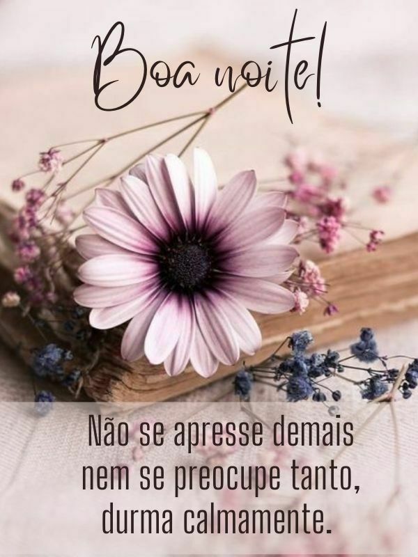 Imagens de Boa noite Reflexao 1