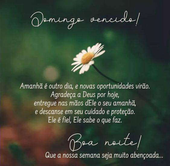 imagens de boa noite domingo