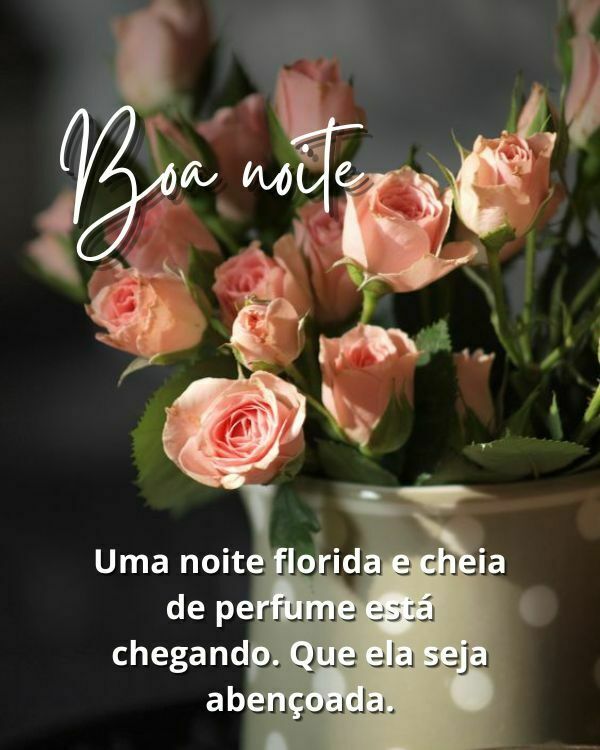 Boa noite com flores e carinho
