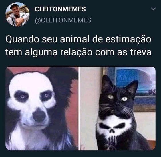 Memes engraçados para Status