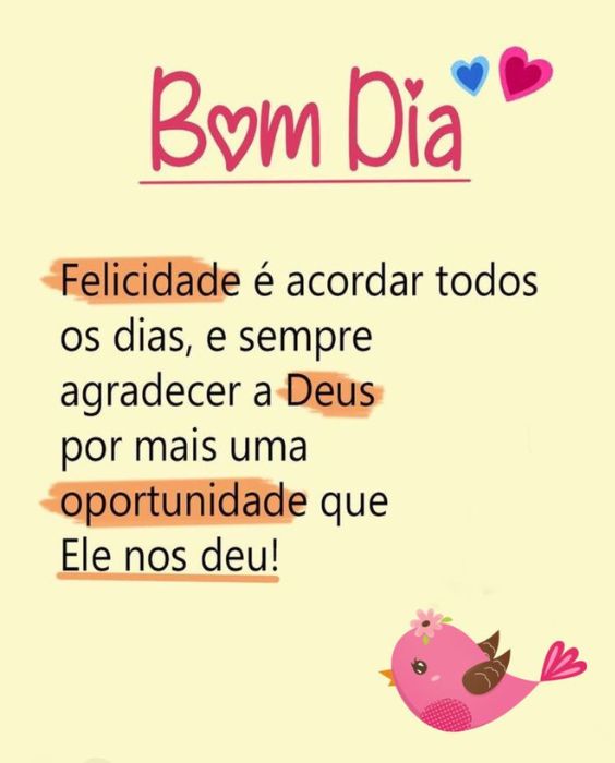 bom dia sempre agradecer
