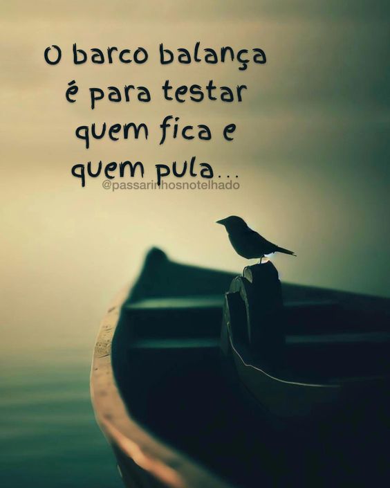 frases de impacto para vida